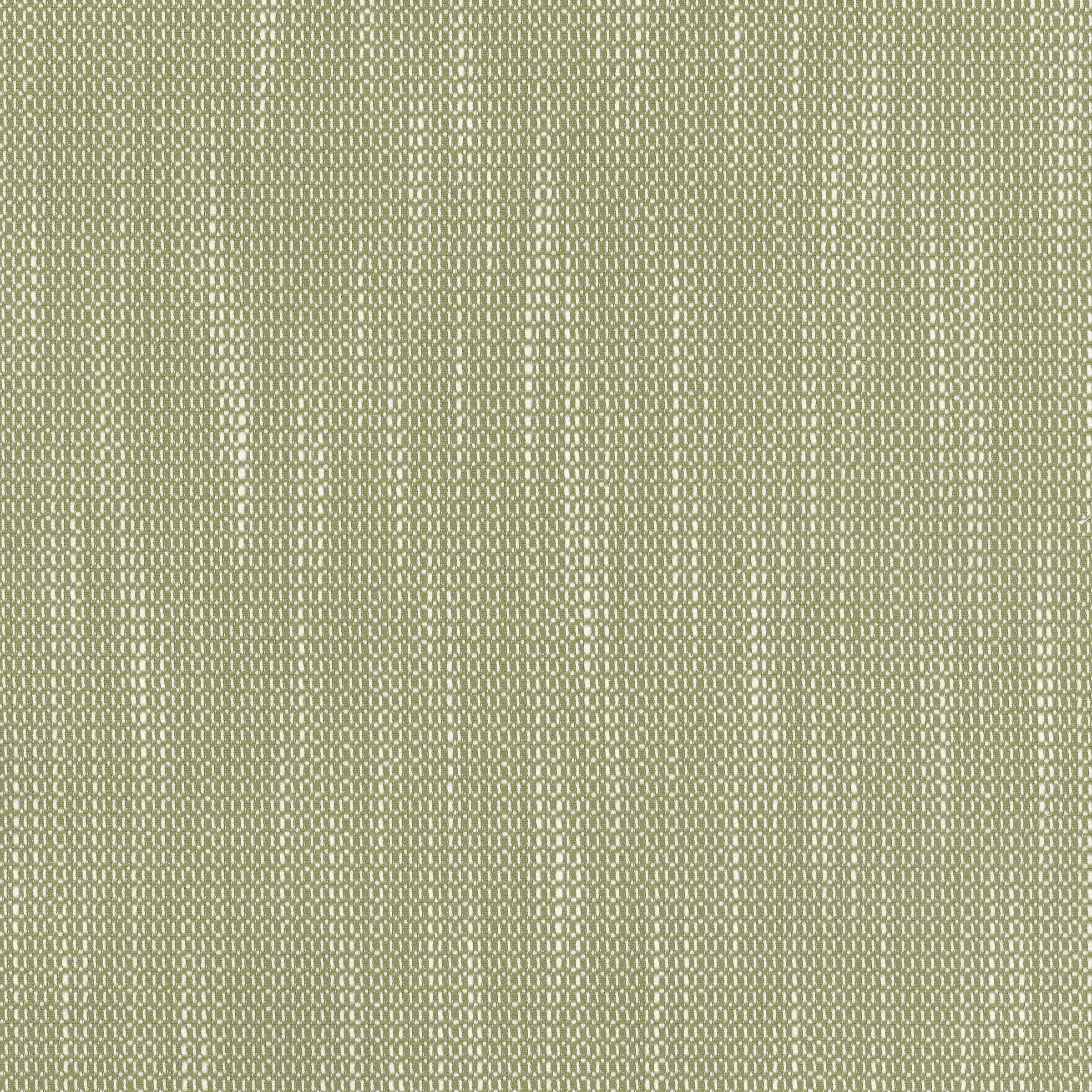 Dried Herb