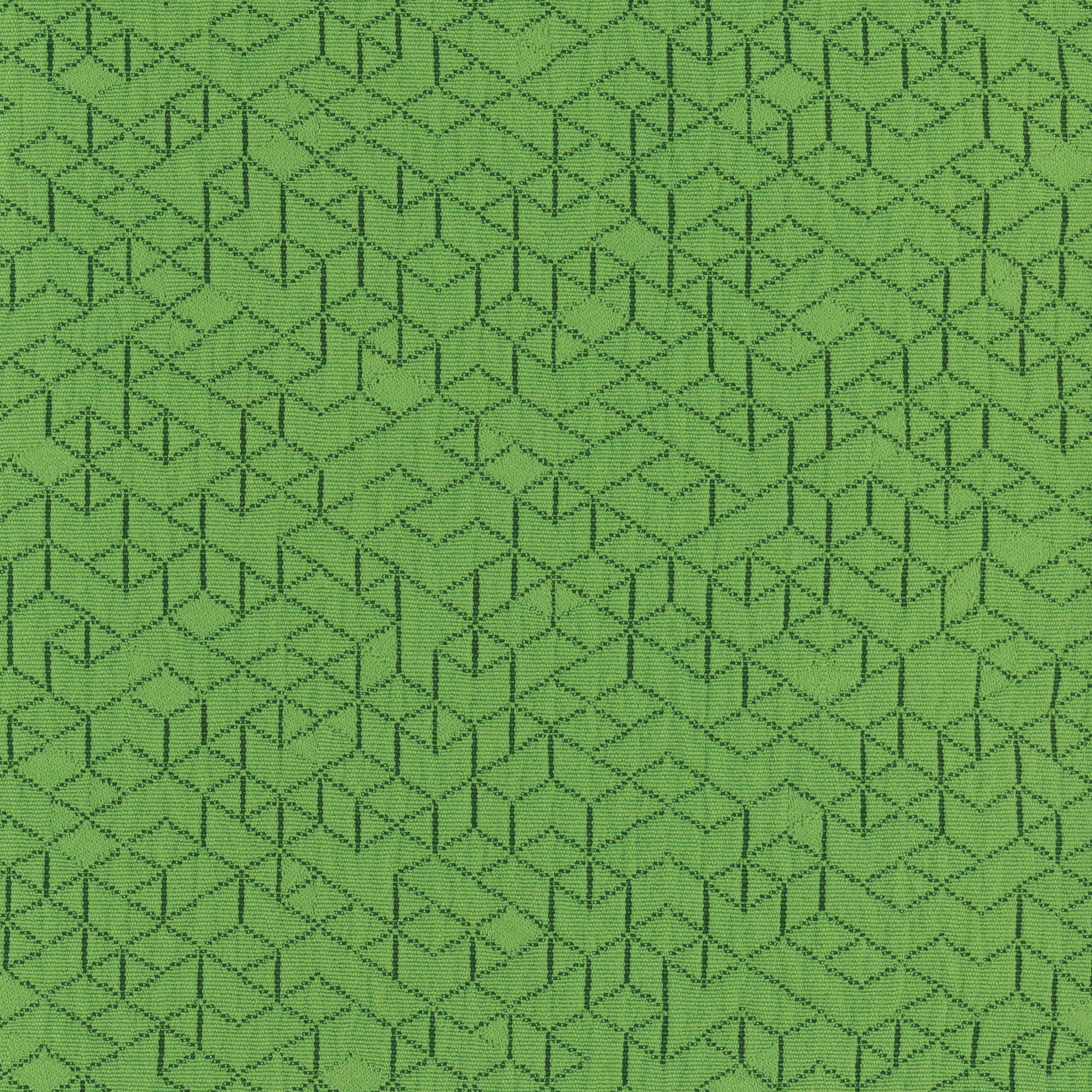 Chive
