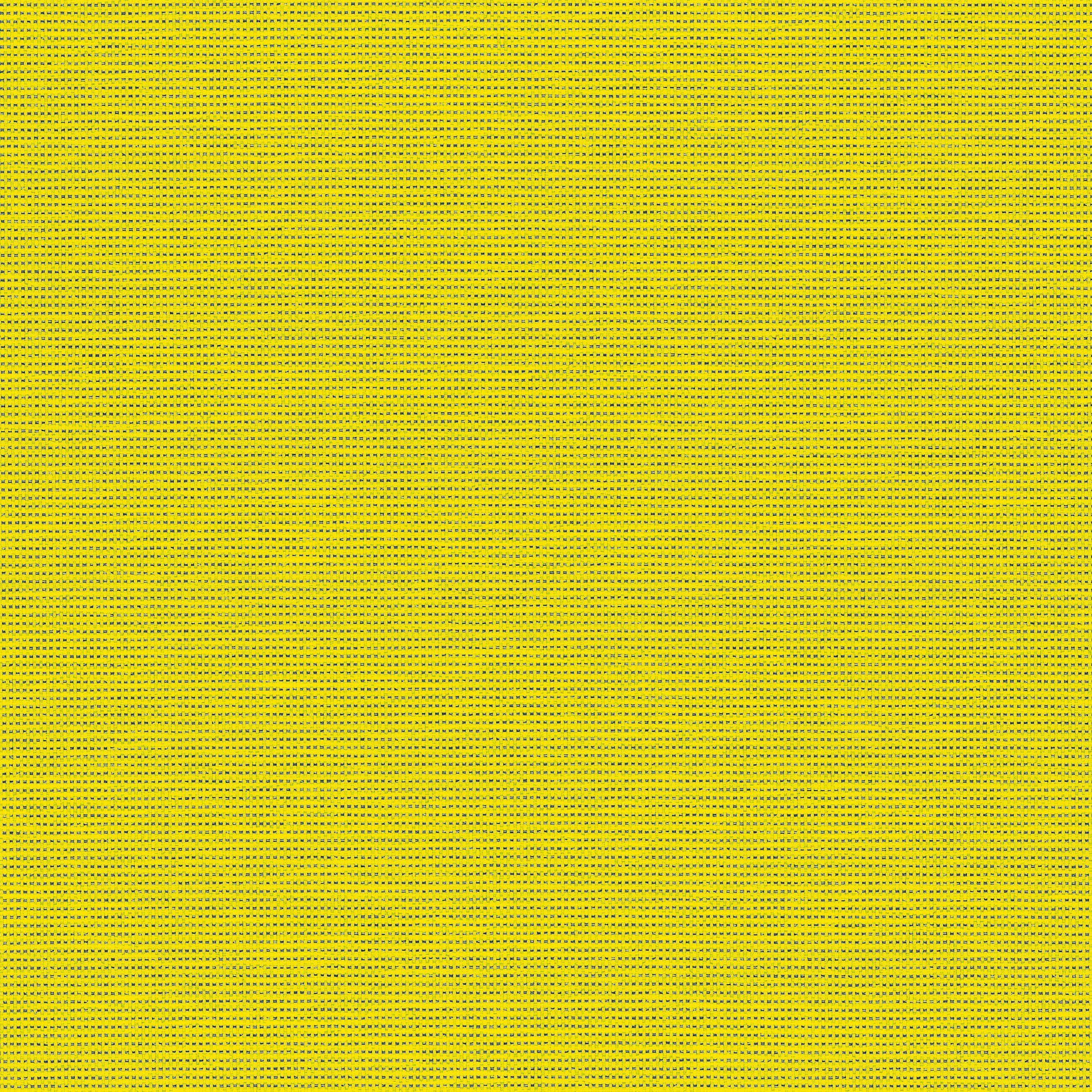 Zest