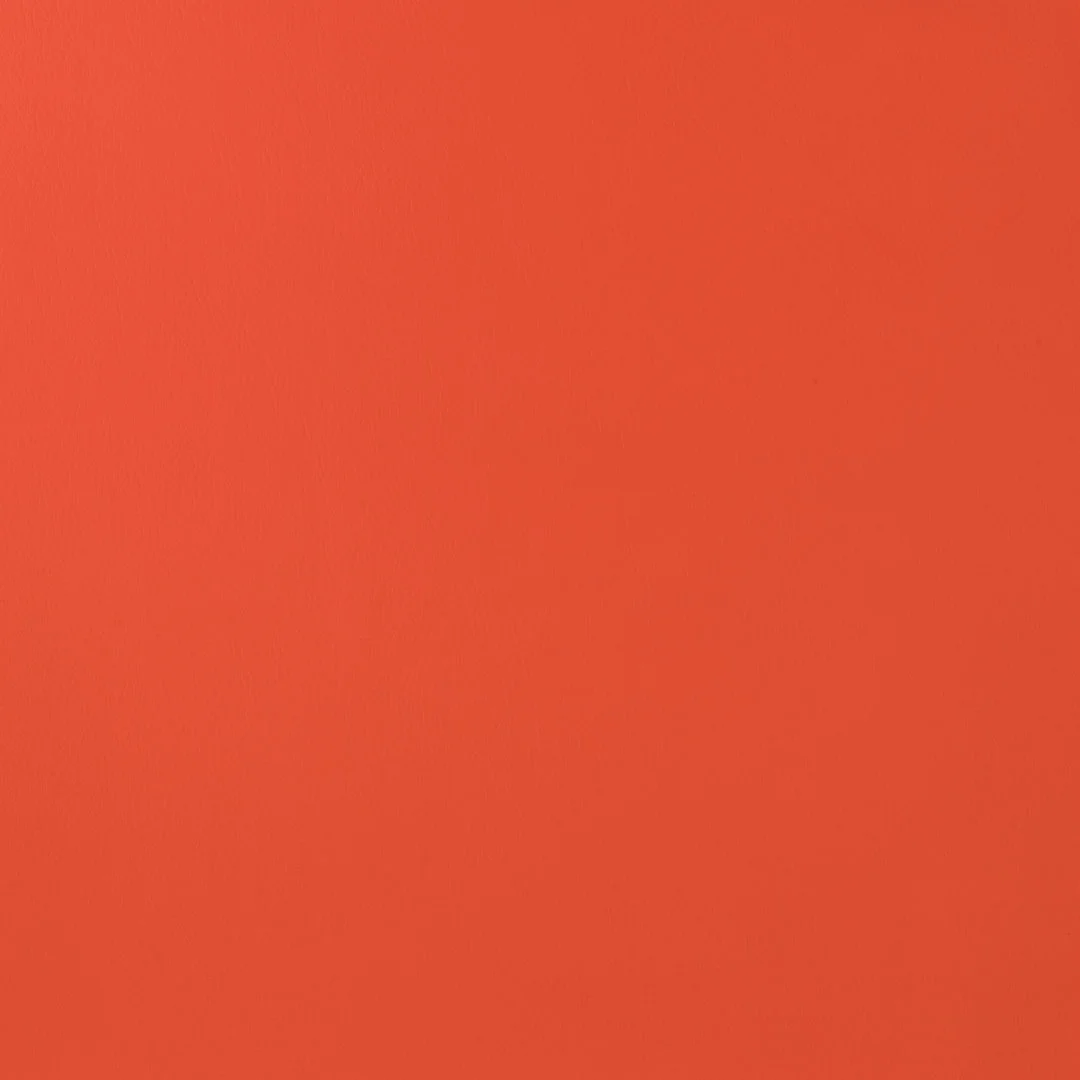 Salsa