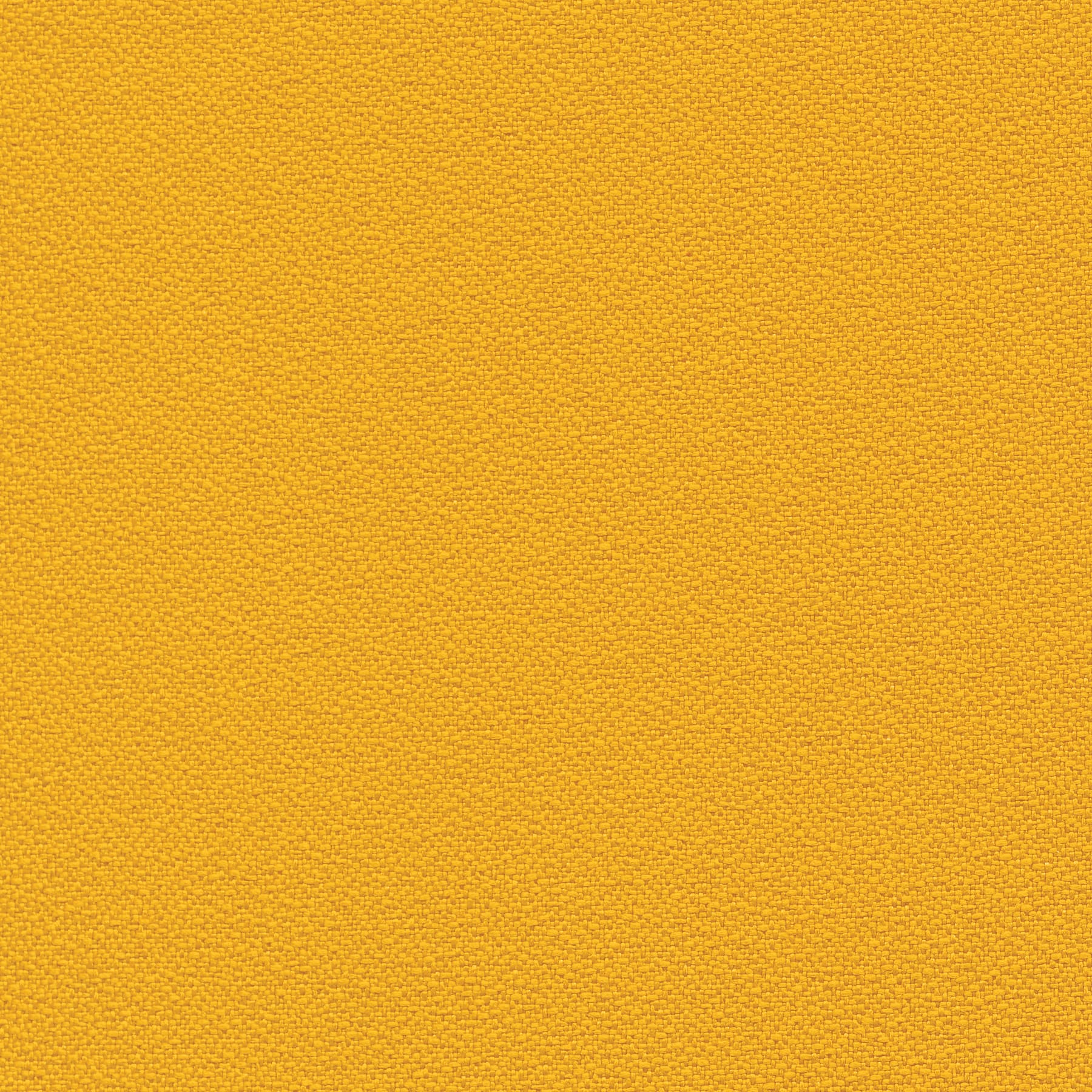 Goldenrod
