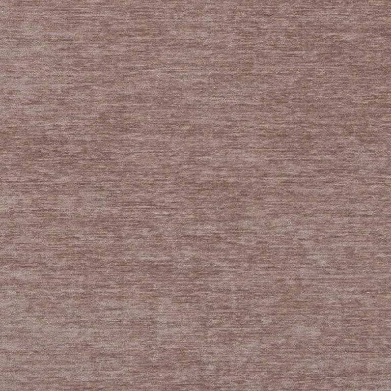 Antelope
