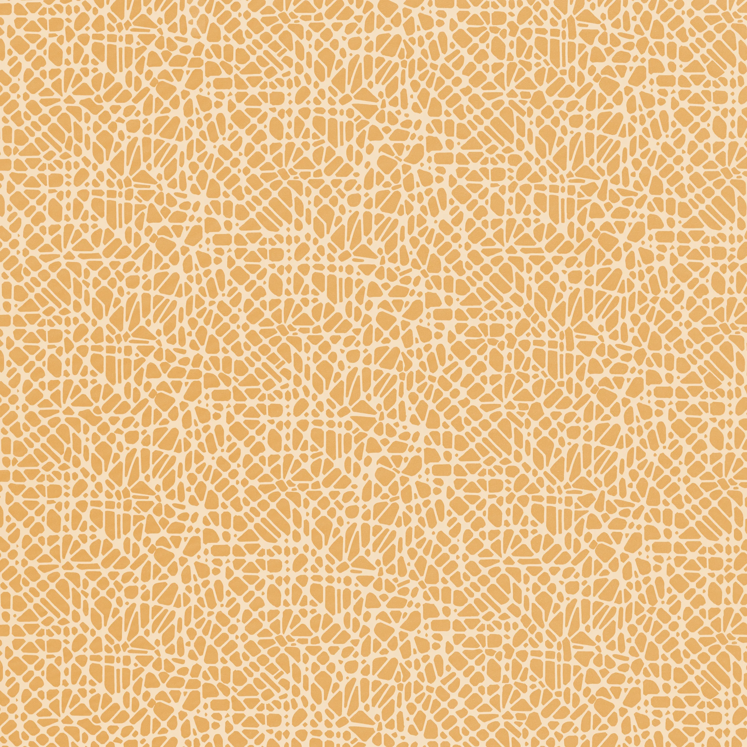 Chamois