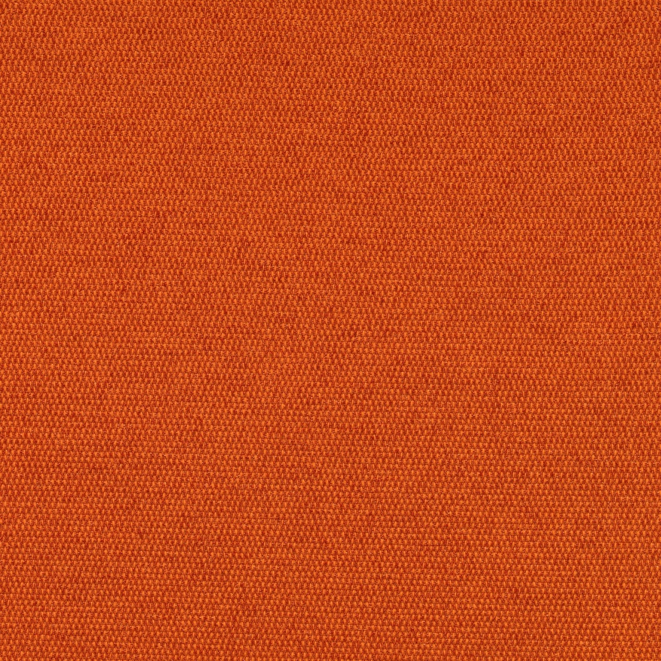 Satsuma