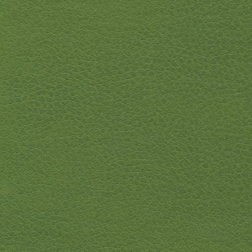 Apple Green