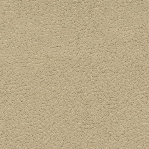Desert Clay