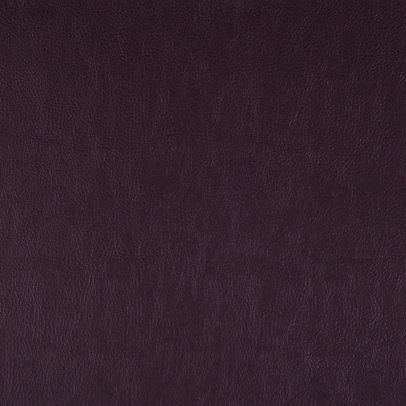 Oxblood