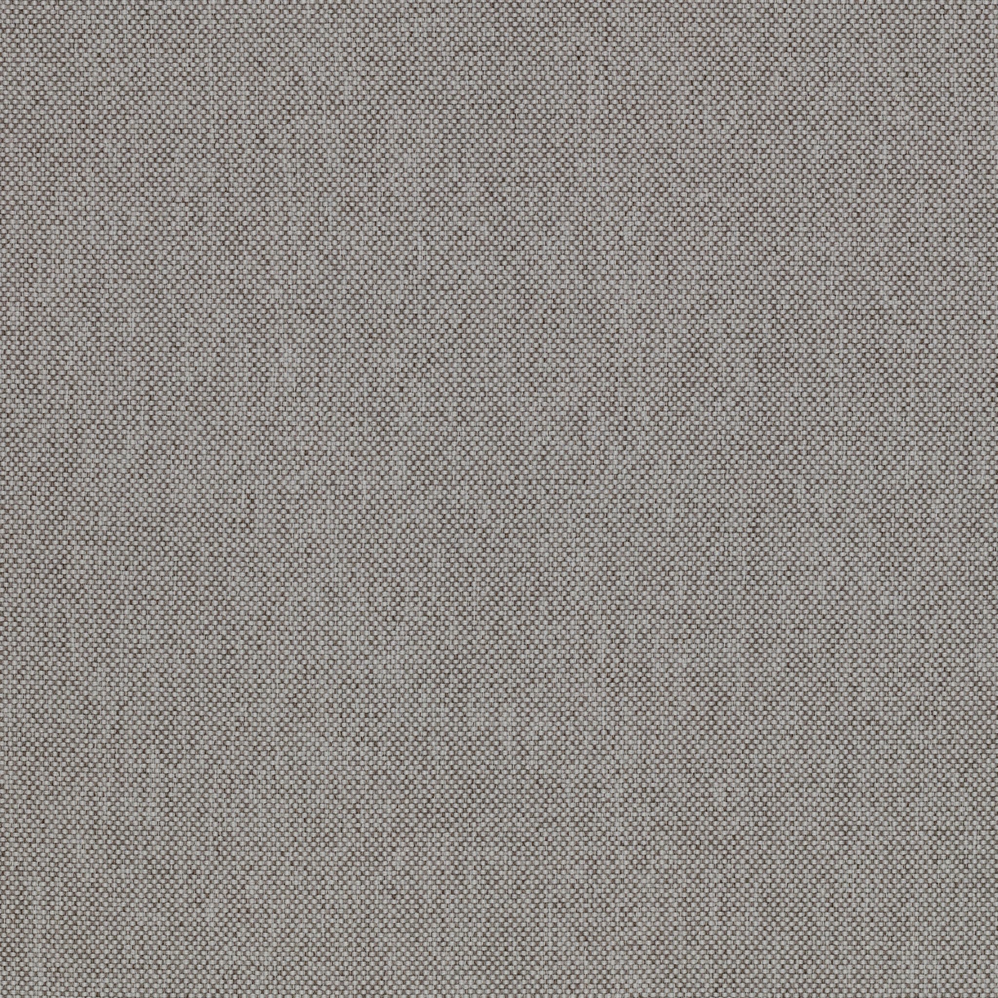 Sycamore