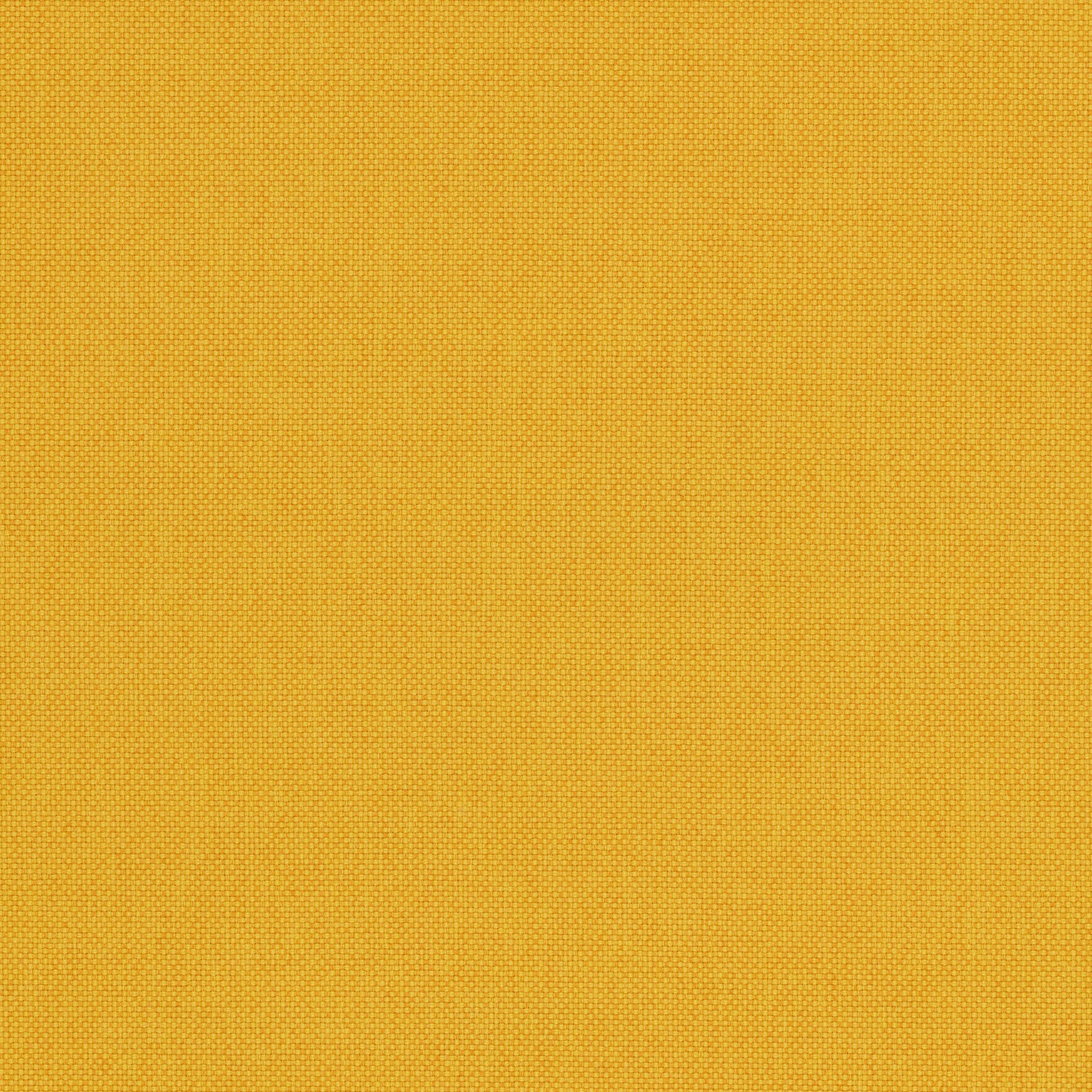 Goldenrod