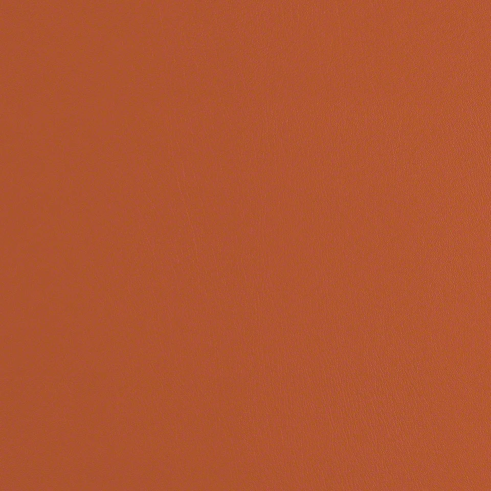 Manzanita