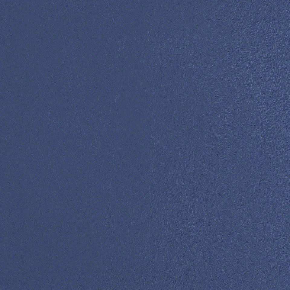 Regal Blue
