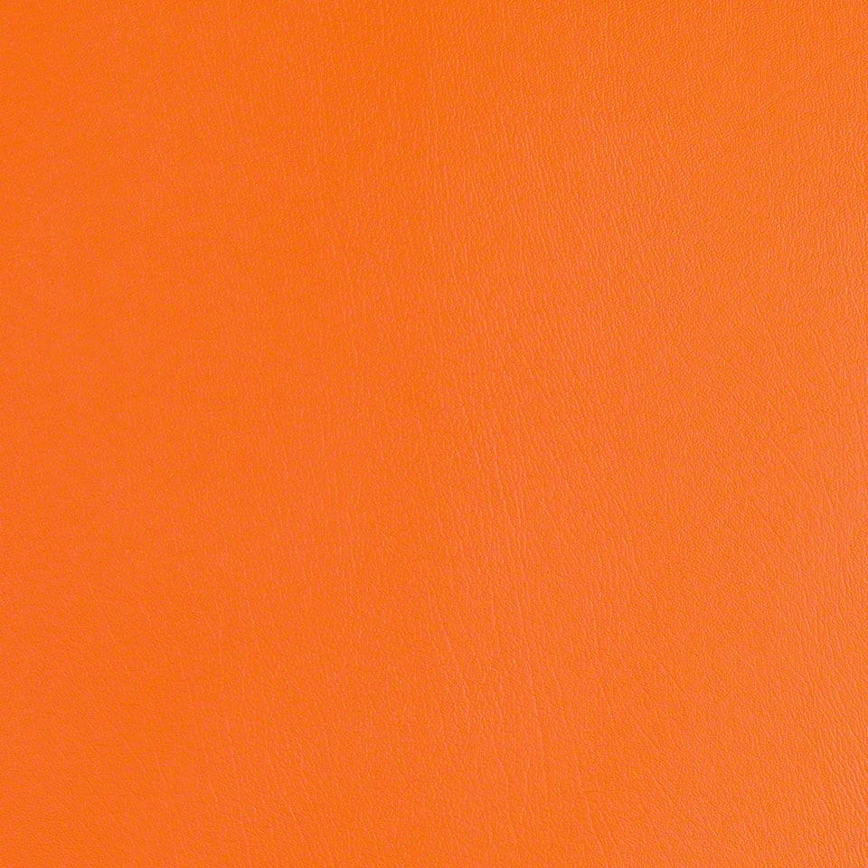 Nasturtium
