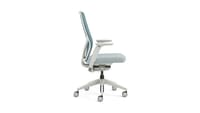 Flexion Mesh Back Task Chair