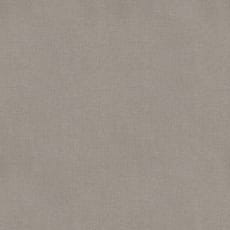Salsa Beige Pattern Swatch
