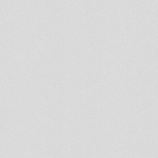 White Pattern Swatch