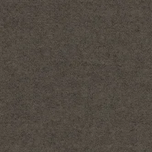 Verity Swatch Teaser