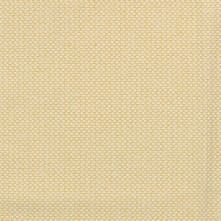 Bellini Swatch Teaser