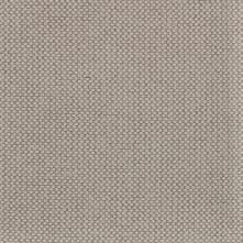 Lynx Swatch Teaser