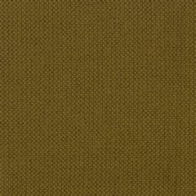 Mudder Swatch Teaser