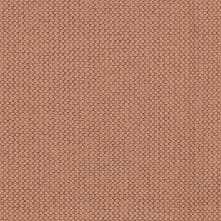 Nectarine Swatch Teaser
