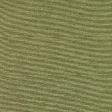 Pistachio Swatch Teaser