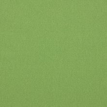 Wild Swatch Teaser