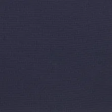 Pulsar Swatch Teaser