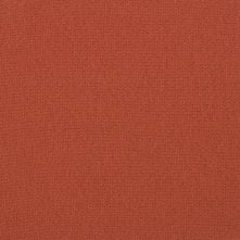 Fox Swatch Teaser