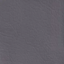 Fossil Swatch Teaser