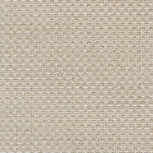 Mistral Swatch Teaser