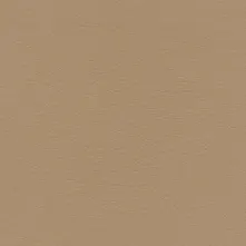 Cashew Swatch Teaser