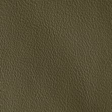 Olive Swatch Teaser