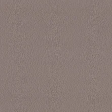 Wet Sand Swatch Teaser