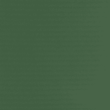 Holly Swatch Teaser