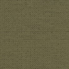 Mossy Green Swatch Teaser