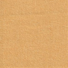 Sunbeam Swatch Teaser