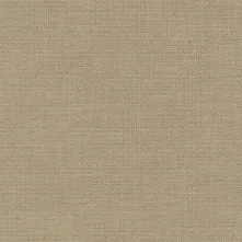 Appoint Swatch Teaser