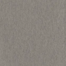 Willow Swatch Teaser