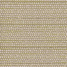 Wakeboard Swatch Teaser