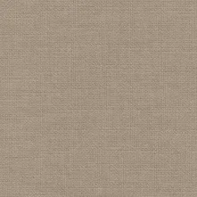 Morel Swatch Teaser
