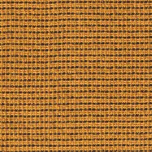 Seahorse Swatch Teaser
