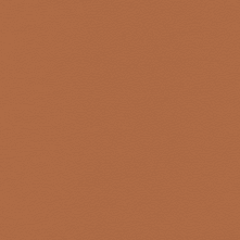 Pumpkin Swatch Teaser