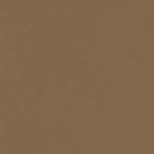 Cappuccino Swatch Teaser