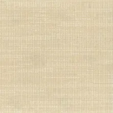 Cornsilk Swatch Teaser
