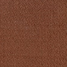 Shuttle Swatch Teaser