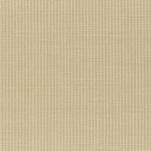 Khaki Swatch Teaser