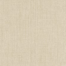 Canyon Swatch Teaser