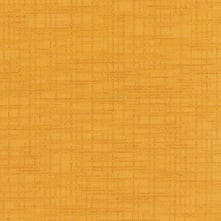 Gold Rush Swatch Teaser