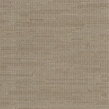 Umber Swatch Teaser