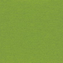 Spring Panel Swatch Teaser